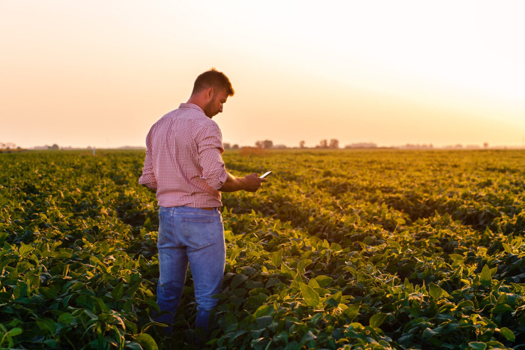 Agriculture cropping 1